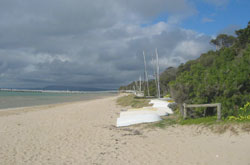 Portsea Beach