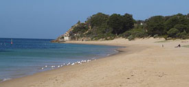 Portsea front beach